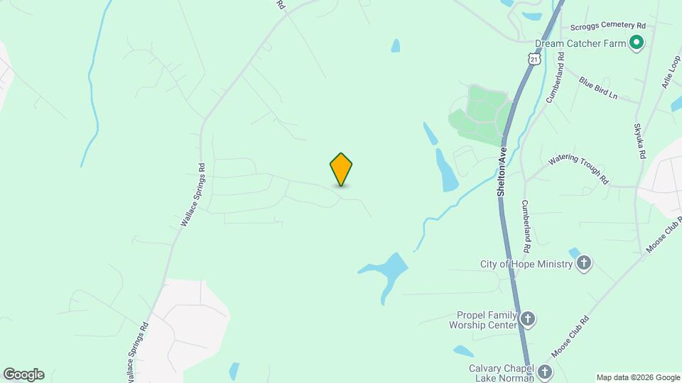 217 Giant Oak Ave Map and Location Details