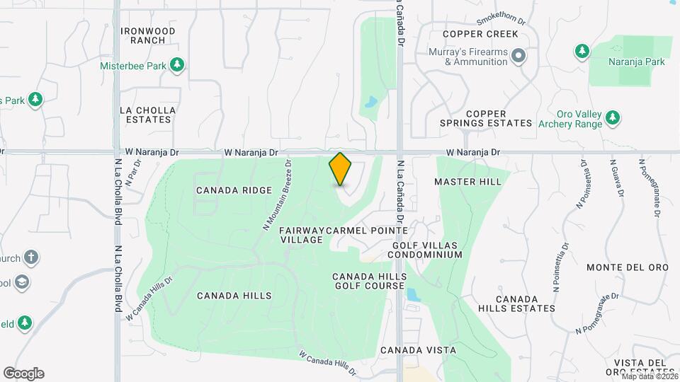 11087 N Desert Flower Dr Map and Location Details