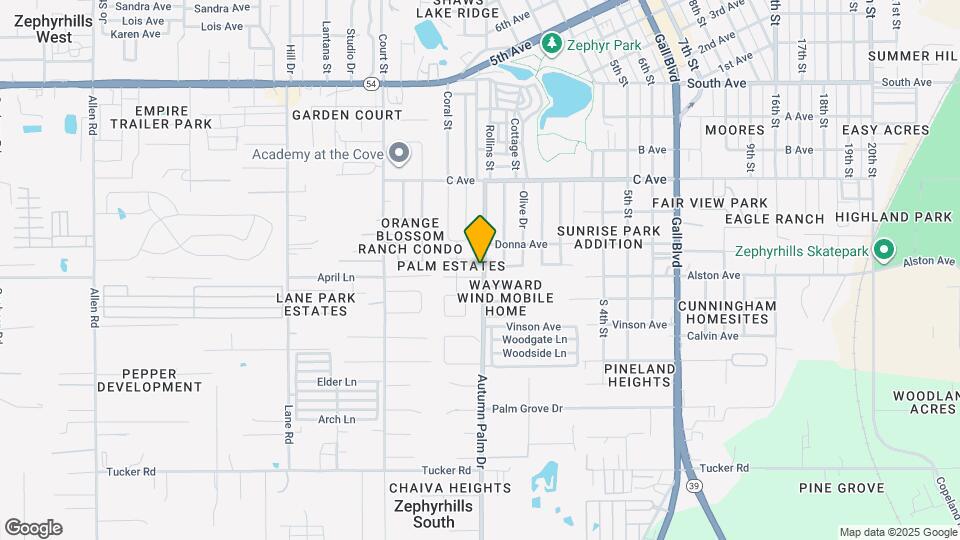 4509 Autumn Palm Dr Map and Location Details