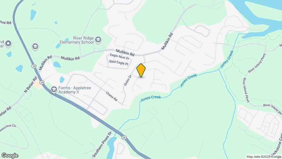 4150 Saddle Horn Dr Mapa y Detalles de la Ubicación