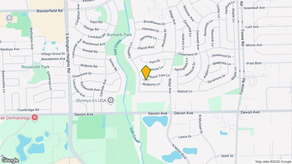 220 Mulberry Ln Map and Location Details