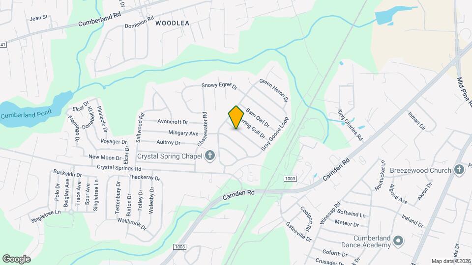 1247 Chimney Swift Dr Map and Location Details