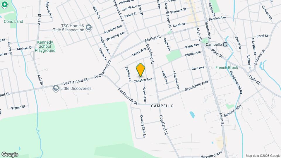 41 Carleton Ave Map and Location Details