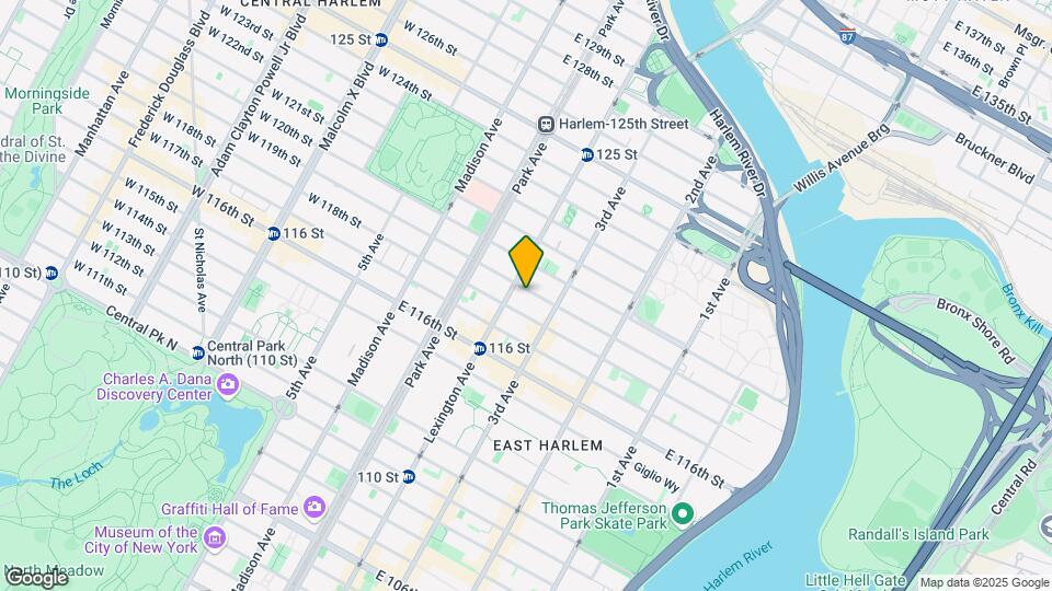 166 E 119th St Map and Location Details