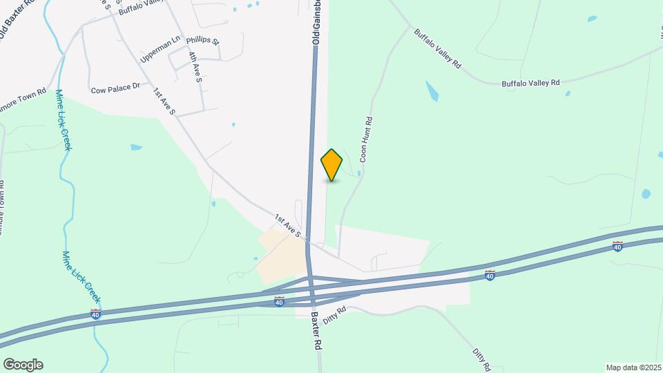 165 Dale Mires Ln Map and Location Details