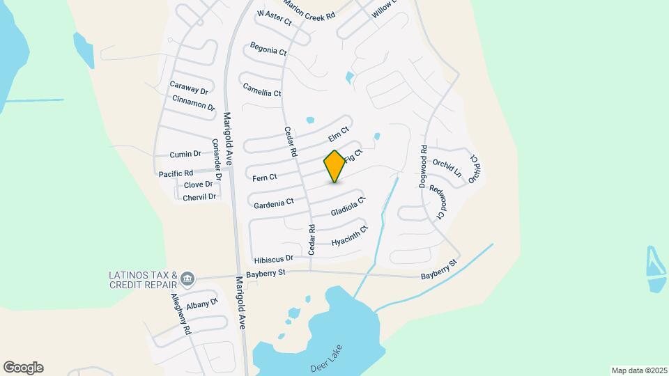 216 Goldenrod Ln Map and Location Details