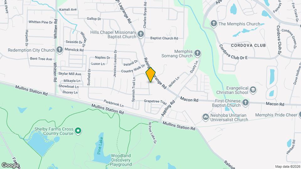 994 Painted Desert Ln Map and Location Details