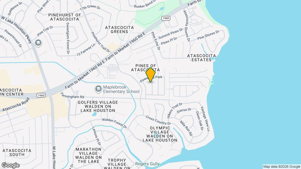 19407 Arbor Pines Ln Mapa y Detalles de la Ubicación