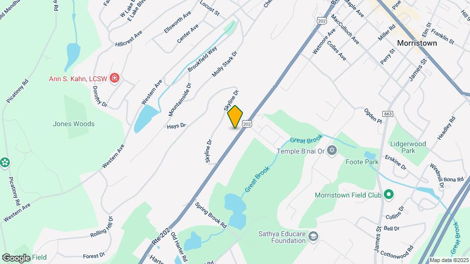 151 Mount Kemble Ave Map and Location Details