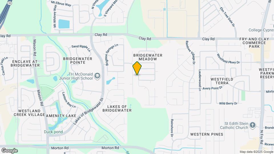3643 Bridgebluff Ln Mapa y Detalles de la Ubicación