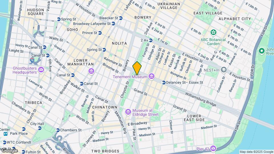 118 Forsyth St Mapa y Detalles de la Ubicación