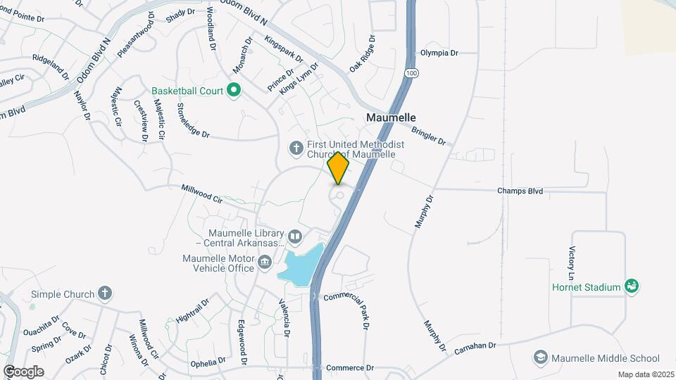 301 Pine Forest Cir Map and Location Details