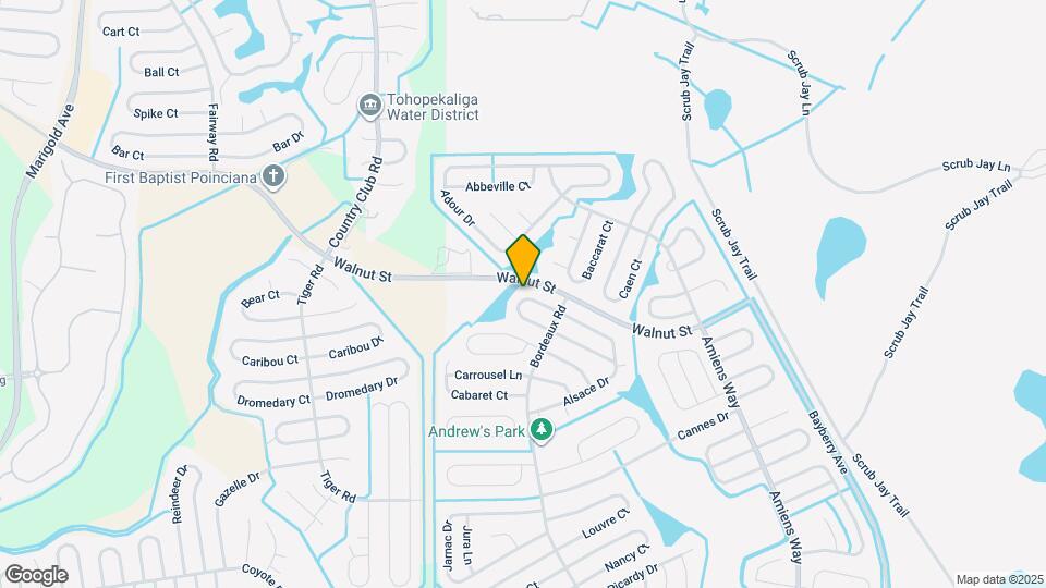 813 Albi Ct Map and Location Details