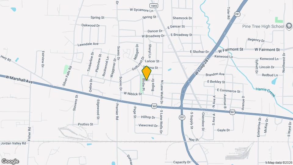 310 Birdie Pl Map and Location Details