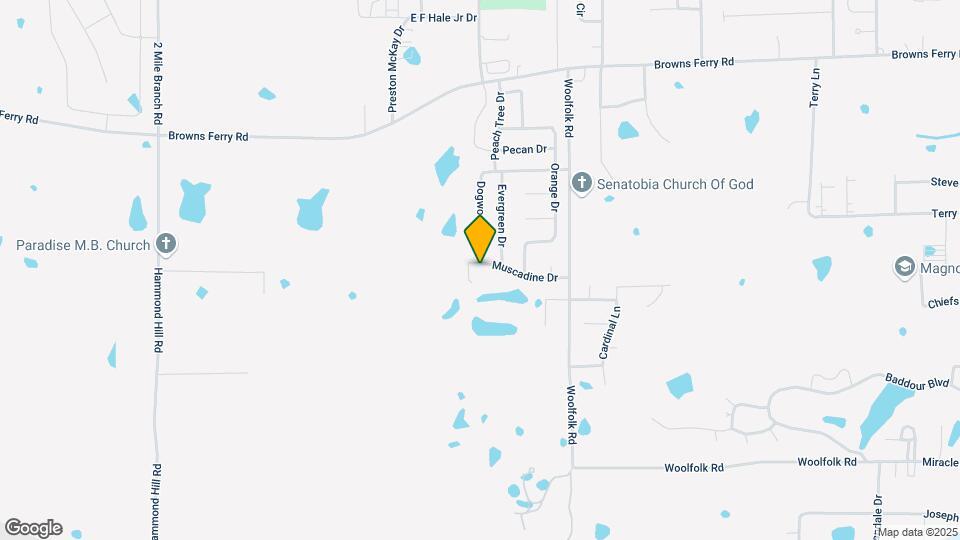 131 Muscadine Dr Map and Location Details