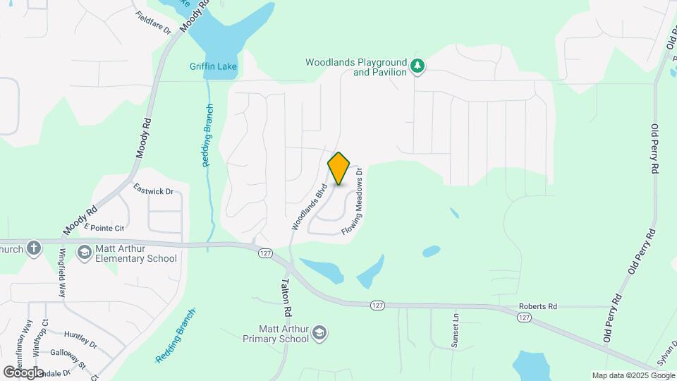 317 Flowing Meadows Dr Map and Location Details