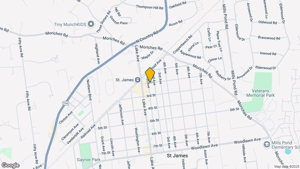 319 1st Ave Mapa y Detalles de la Ubicación