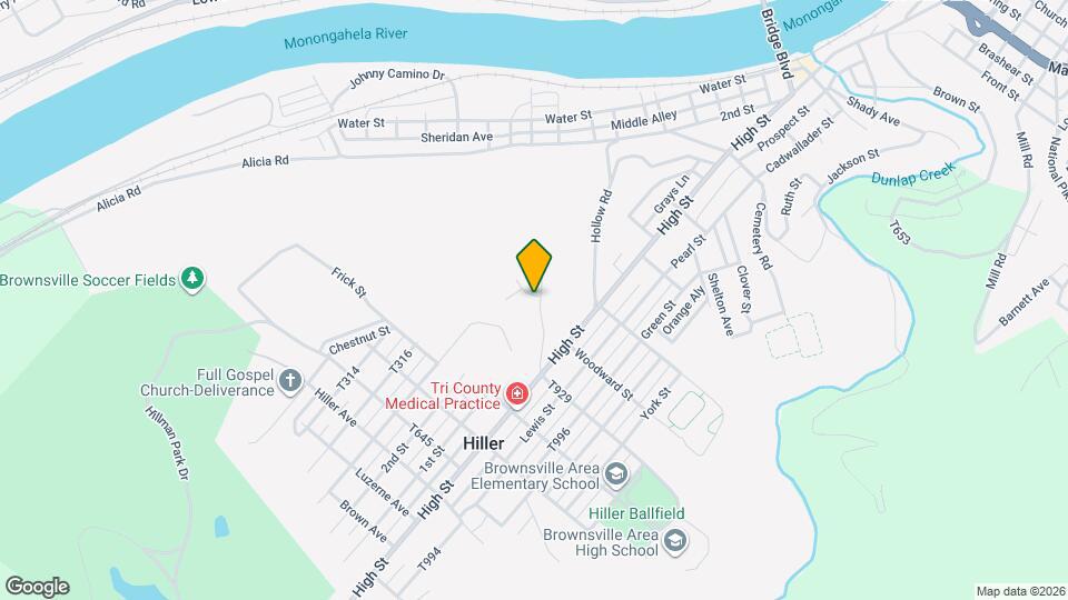 South Hill Terrace Housing Prj Apartments and Nearby Brownsville