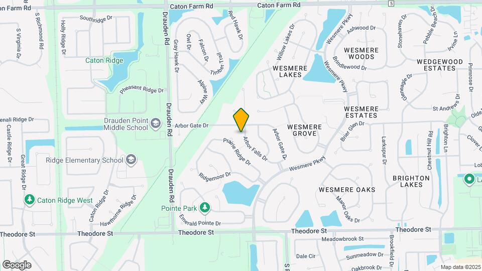 1907 Arbor Falls Dr Mapa y Detalles de la Ubicación