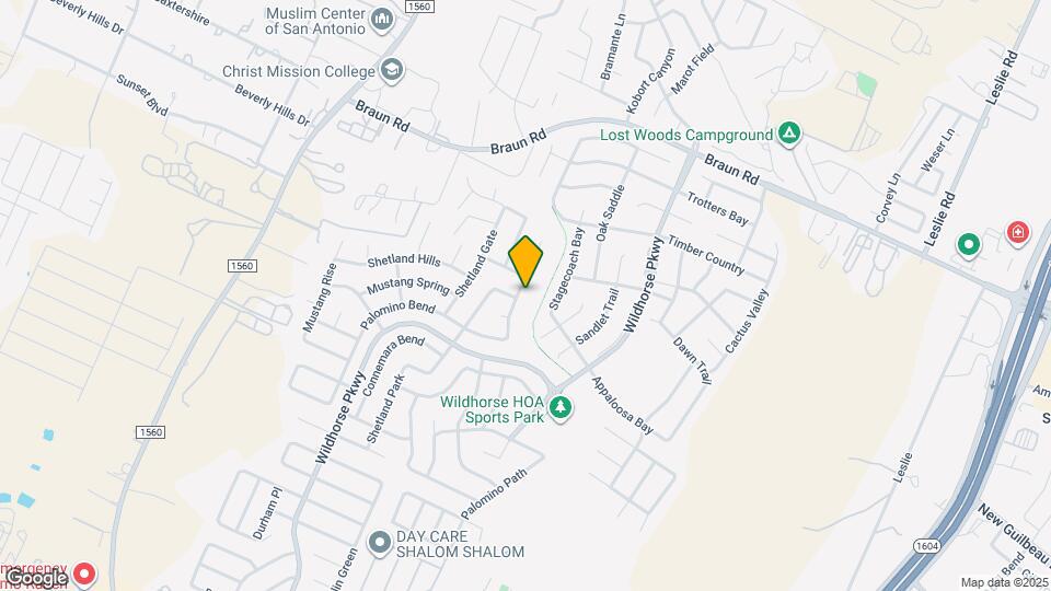 10006 Caspian Ledge Map and Location Details