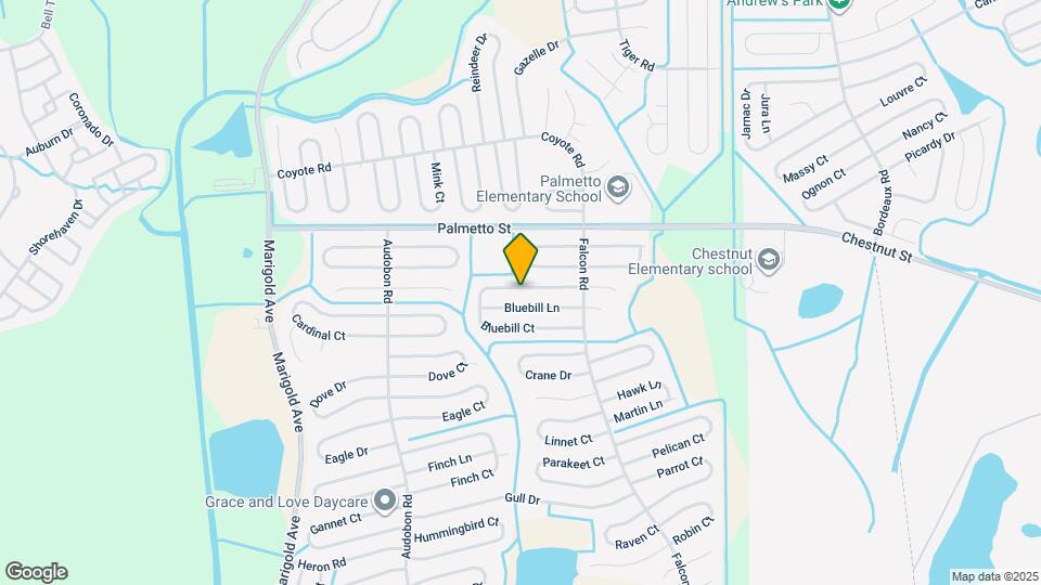 620 Bluebill Ct Mapa y Detalles de la Ubicación
