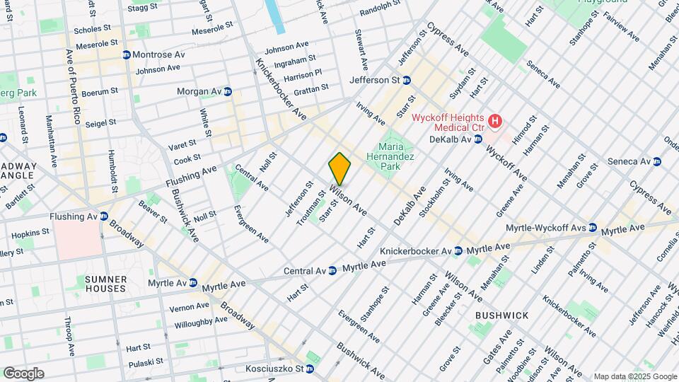 107 wilson ave Mapa y Detalles de la Ubicación