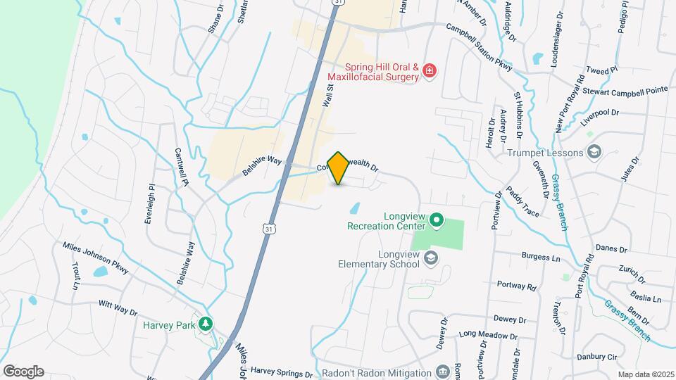 301 Shirebrook Cir Mapa y Detalles de la Ubicación