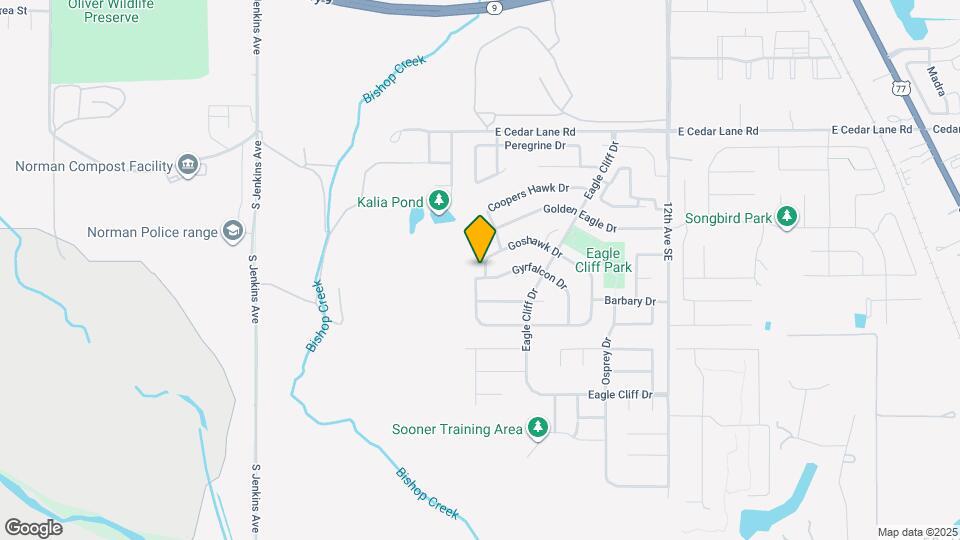 509 Gyrfalcon Dr Mapa y Detalles de la Ubicación