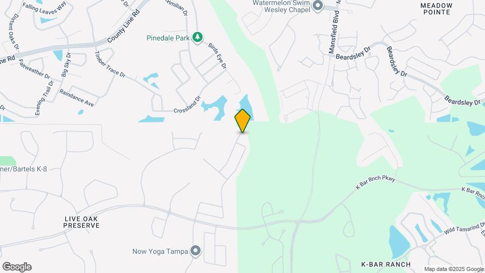 20509 Carolina Cherry Ct Map and Location Details