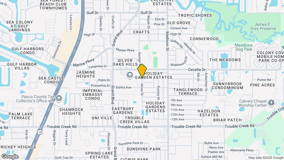 4893 Alcea St Map and Location Details