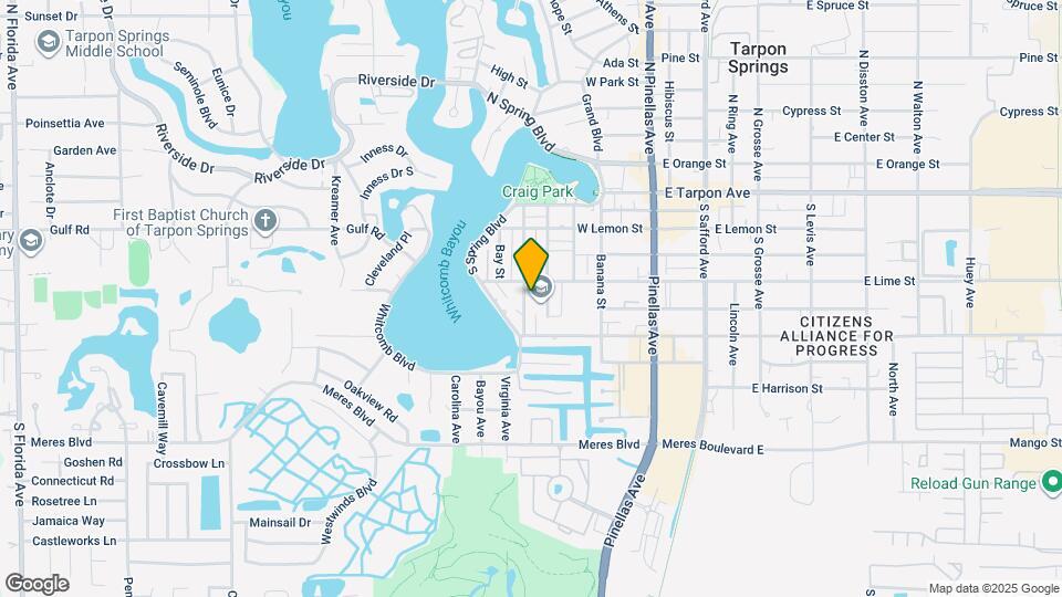 419 Pineapple St Map and Location Details