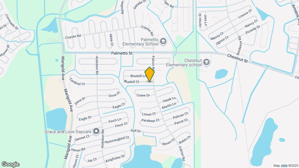 675 Bluebill Ct Mapa y Detalles de la Ubicación