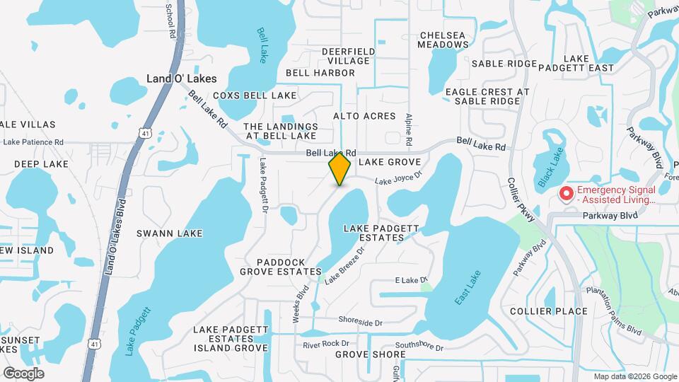 3856 Lake Joyce Dr Mapa y Detalles de la Ubicación