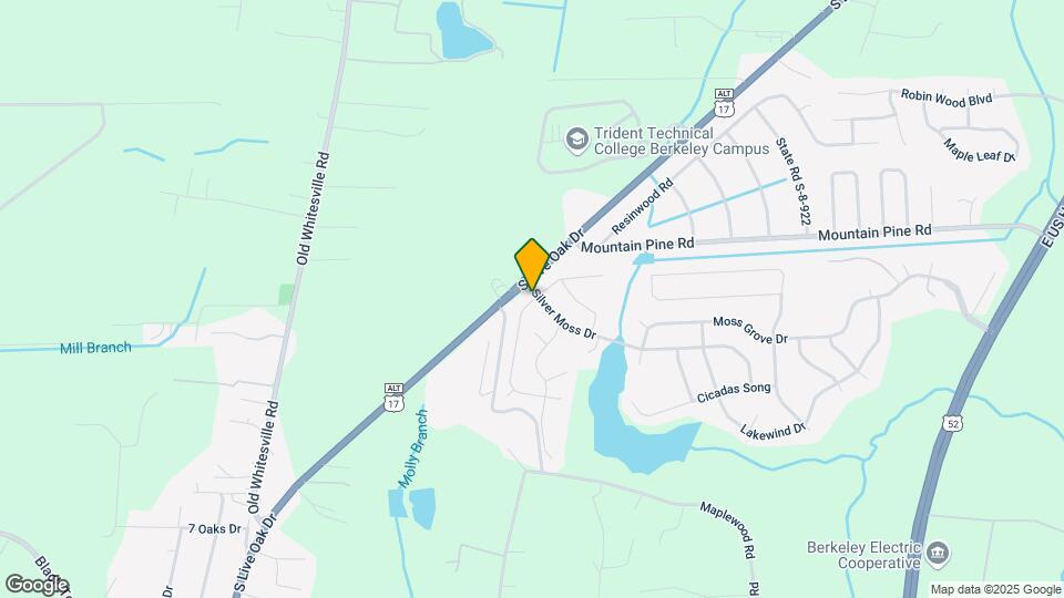 202 Swamp Creek Ln Map and Location Details