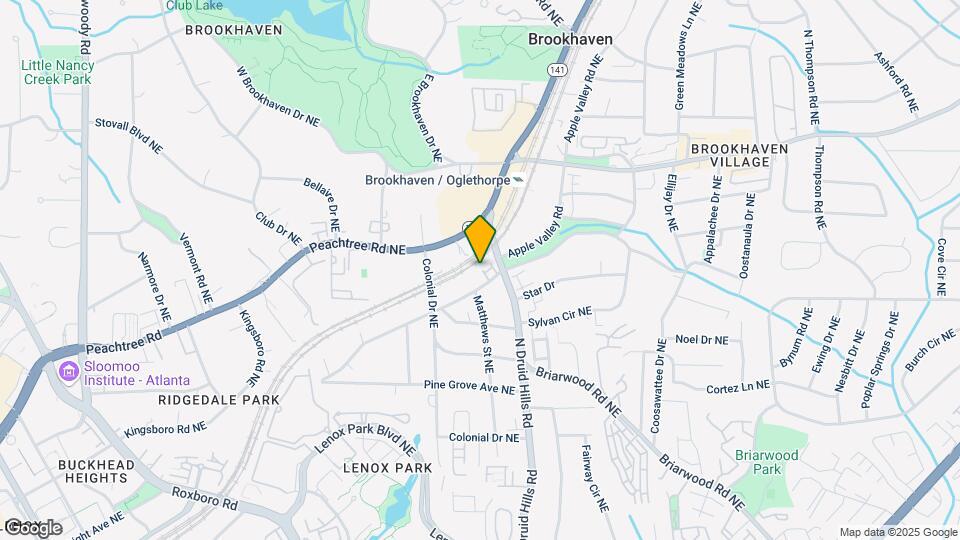 2456 Brookhaven Heights Ct NE Map and Location Details