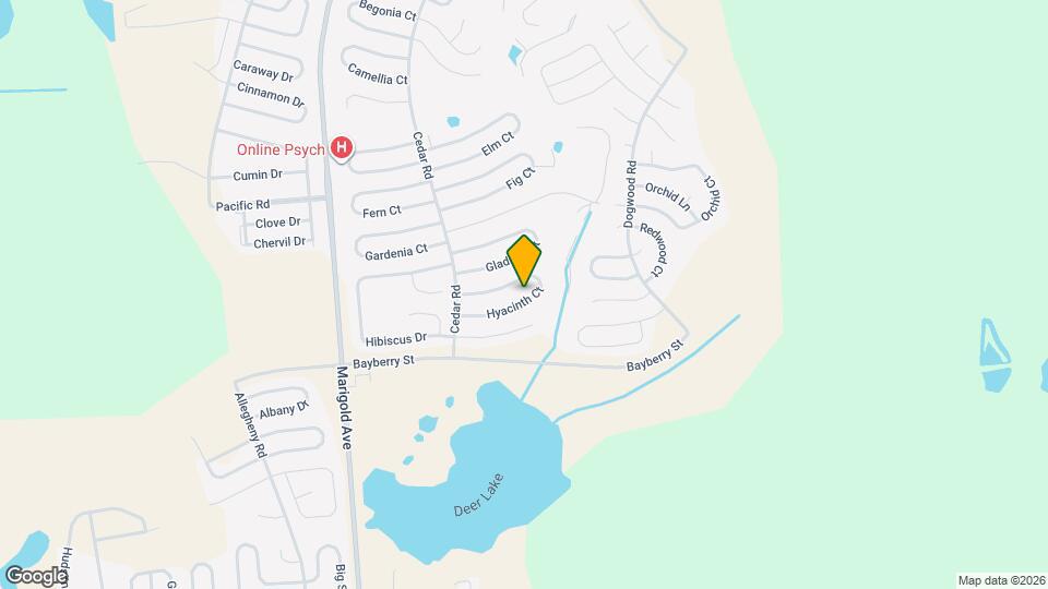 256 Hyacinth Ct Map and Location Details