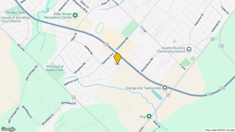 113 Winterton Ct Map and Location Details