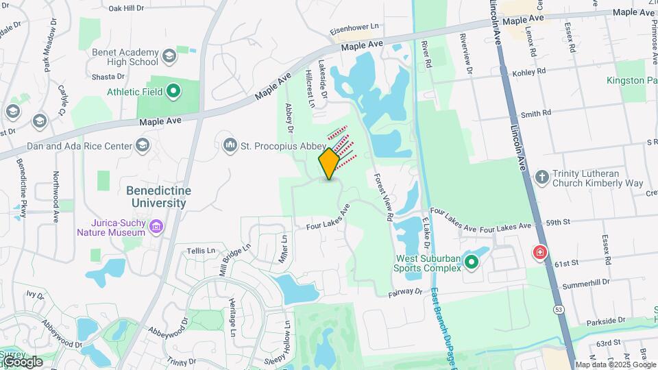 5810 Oakwood Dr Rentals in Lisle, IL