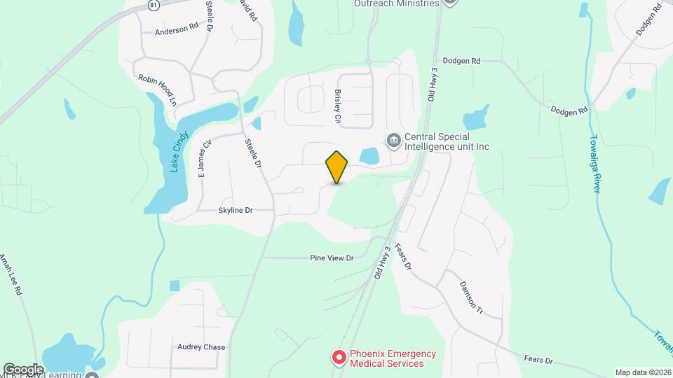 202 Goldleaf Dr Mapa y Detalles de la Ubicación