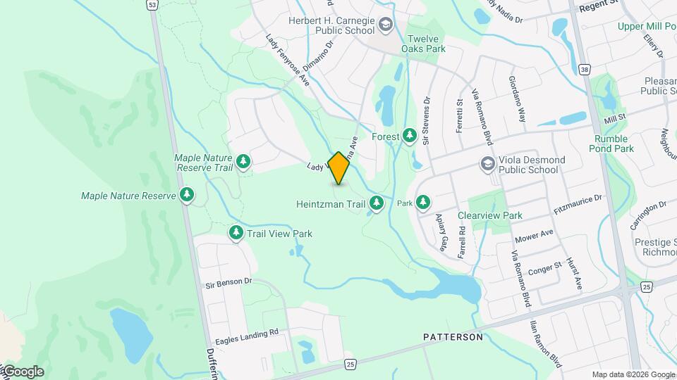 37 Heintzman Cres Map and Location Details