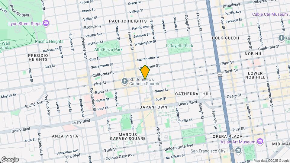 19 Wilmot St Map and Location Details