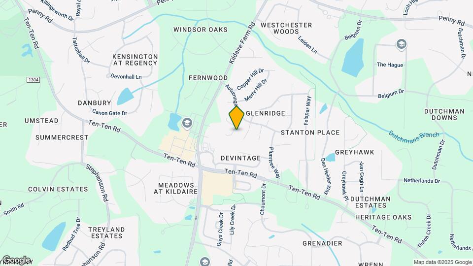 203 Langston Mill Ct Map and Location Details