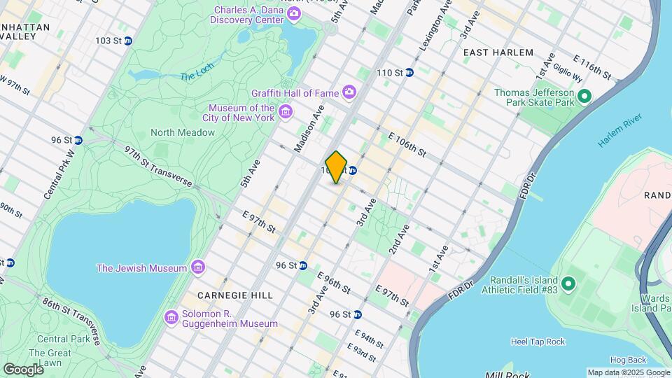 131 E 101st St Map and Location Details