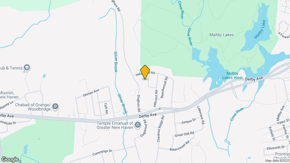 856 Shagbark Dr Map and Location Details