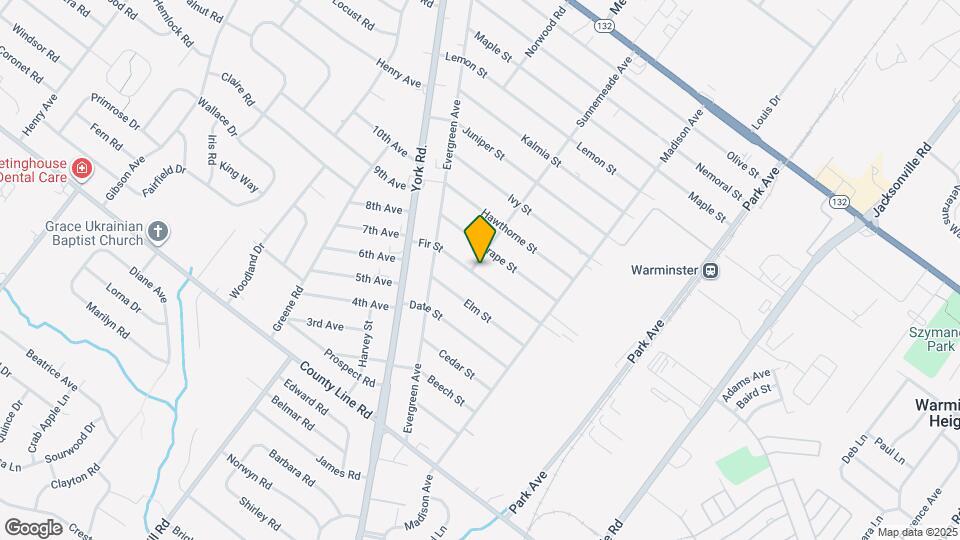 395 Fir St Mapa y Detalles de la Ubicación