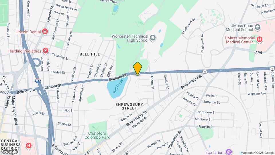 38 Johnson St Map and Location Details