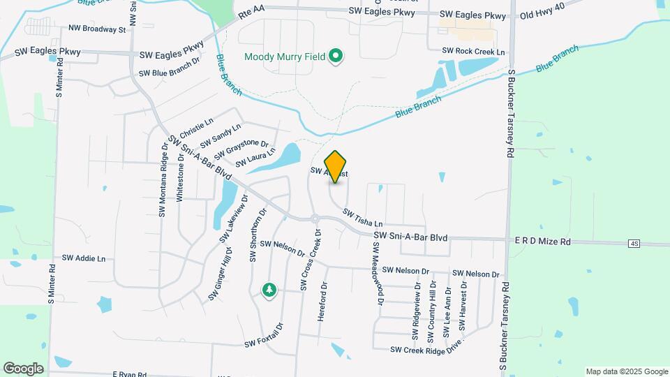 716 SW Tisha Ln Map and Location Details