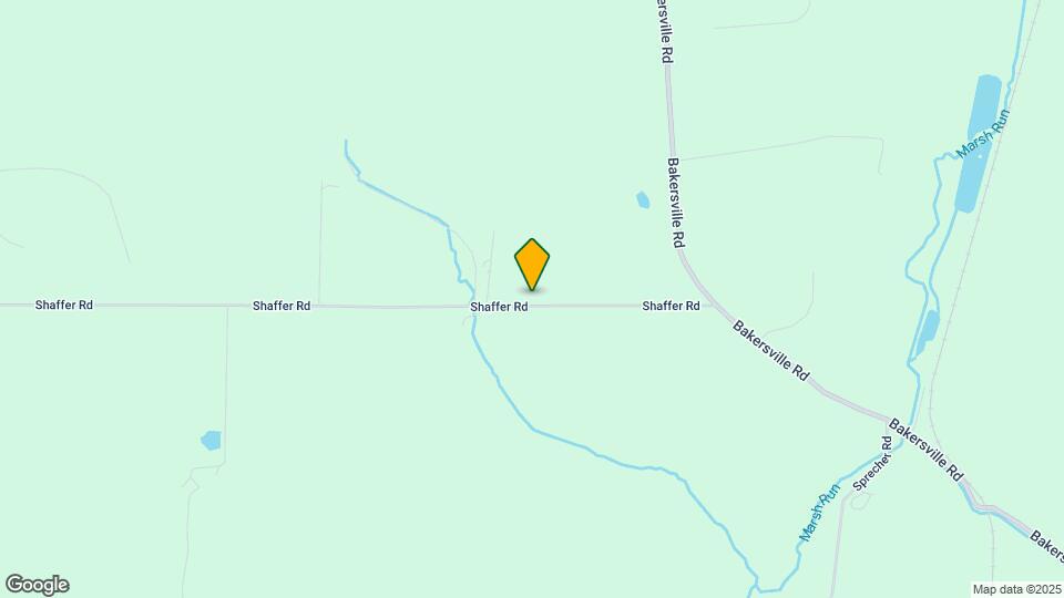 16836 Shaffer Rd Mapa y Detalles de la Ubicación