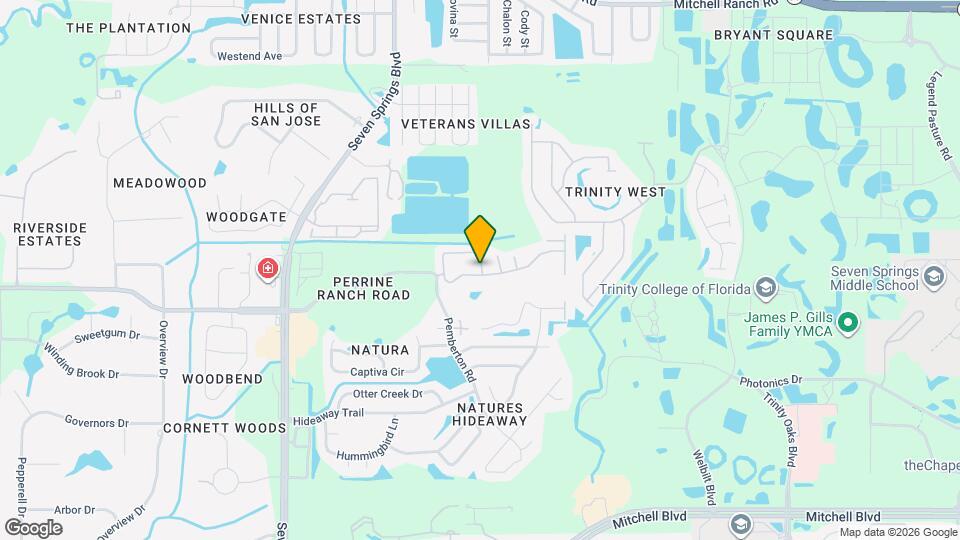7505 Wimpole Dr Map and Location Details