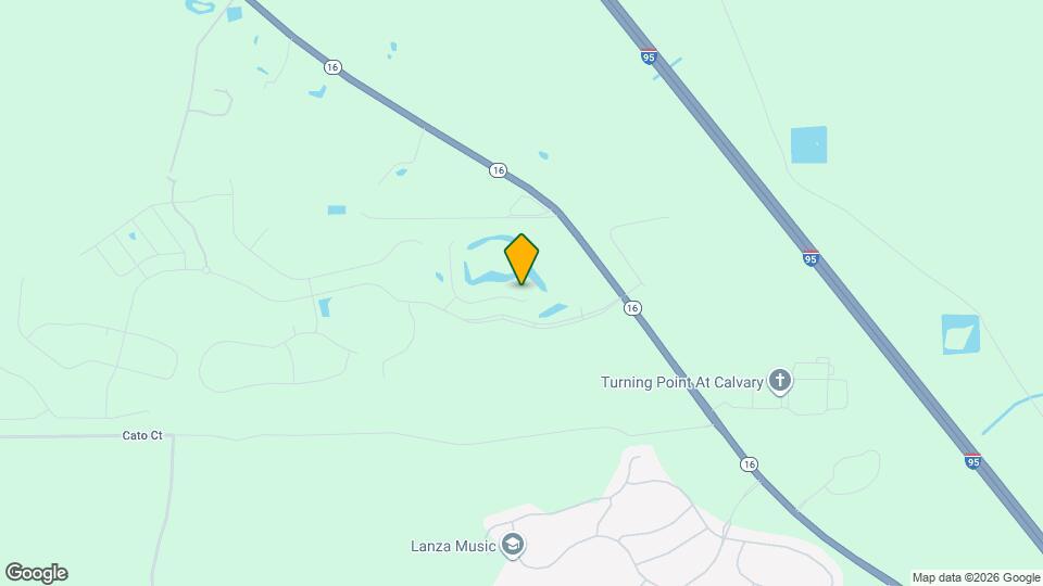 163 Pine Forest Ct Map and Location Details